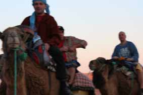 pepple riding camels