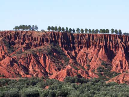 tree lined mountain